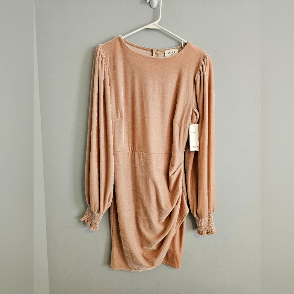 Red Dress Blush Velvet Mini Dress | NWT | Medium
